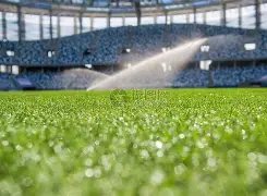 沉寂,米兰传奇射,手欧冠重出,龙8国际,龙8国际官网,龙8国际官网玩家首选