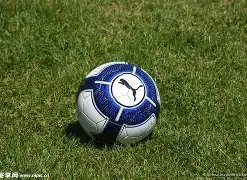 曼联面临财,务挑战,暂无法提前,龙8国际,龙8国际官网,龙8国际官网玩家首选