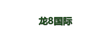 龙8国际